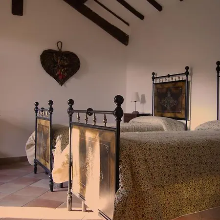 Casale Degli Ulivi Hébergement de vacances