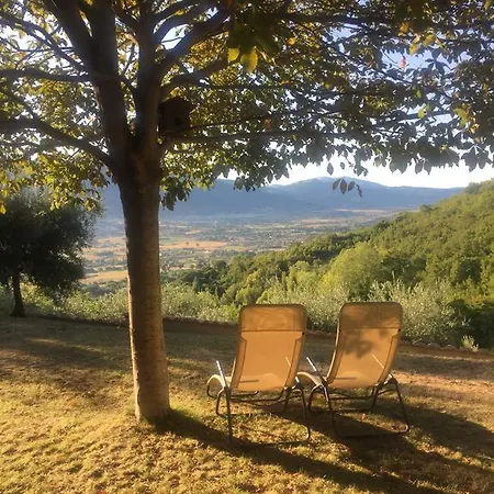 Hébergement de vacances Casale Degli Ulivi Gualdo Tadino
