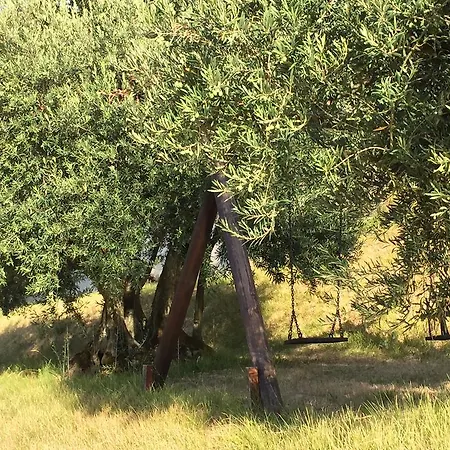 Casale Degli Ulivi Gualdo Tadino